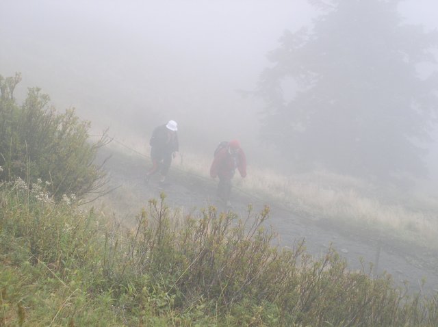 Saddle Mountain Oct 9 2005 040 